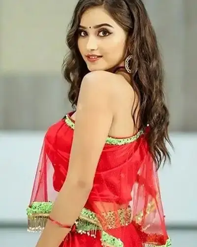 Call Girls Service Pilibanga